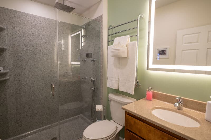 walk-in shower with glass walls and door. vanity sink with large mirror above sink