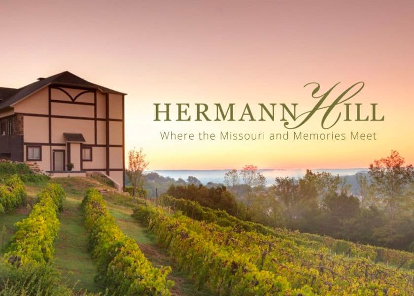 hermann hill vineyard at sunset hermann hill vineyard at sunset