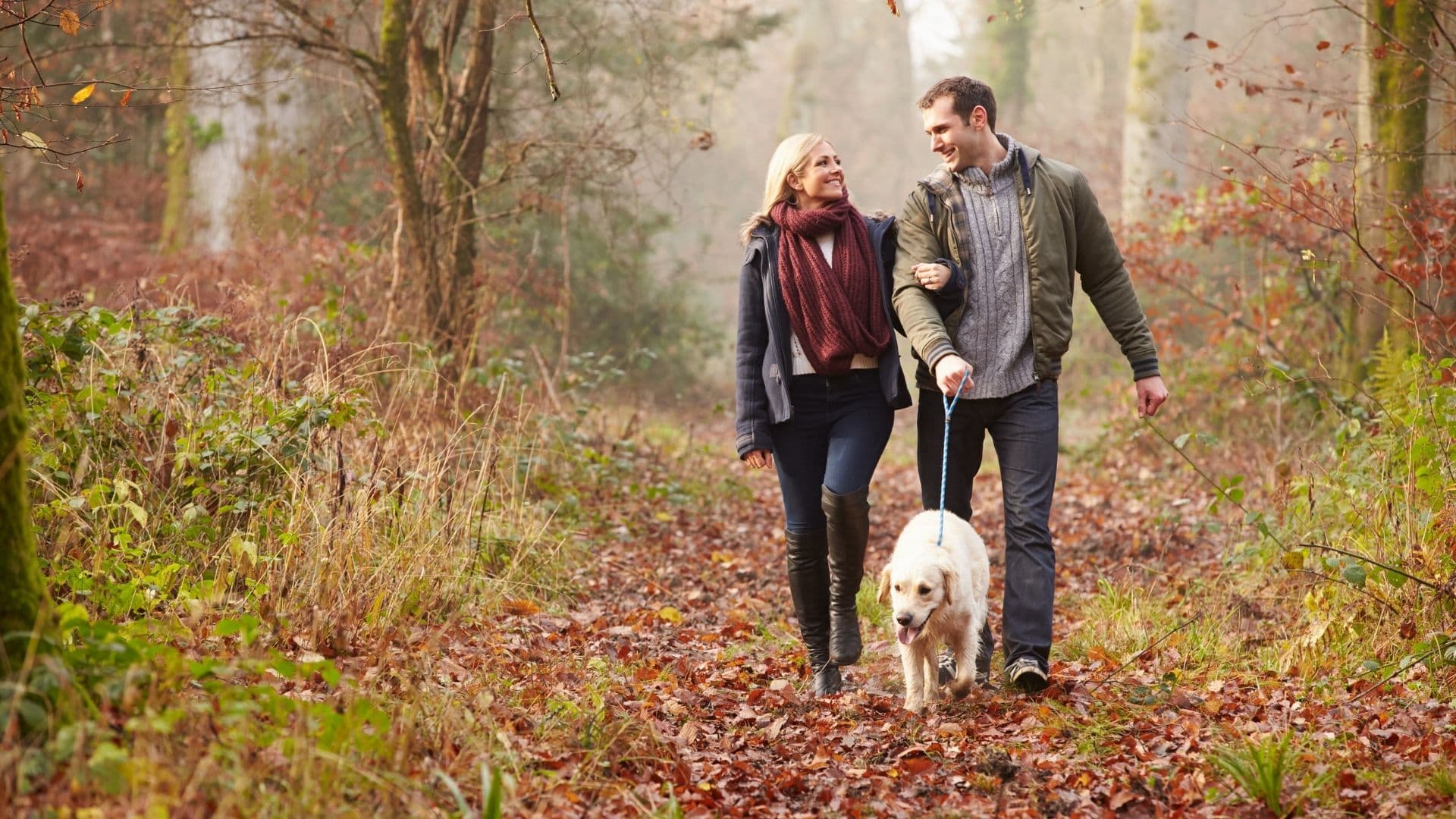 a couple walking down a path in the woods during fall with their cute golden retriever