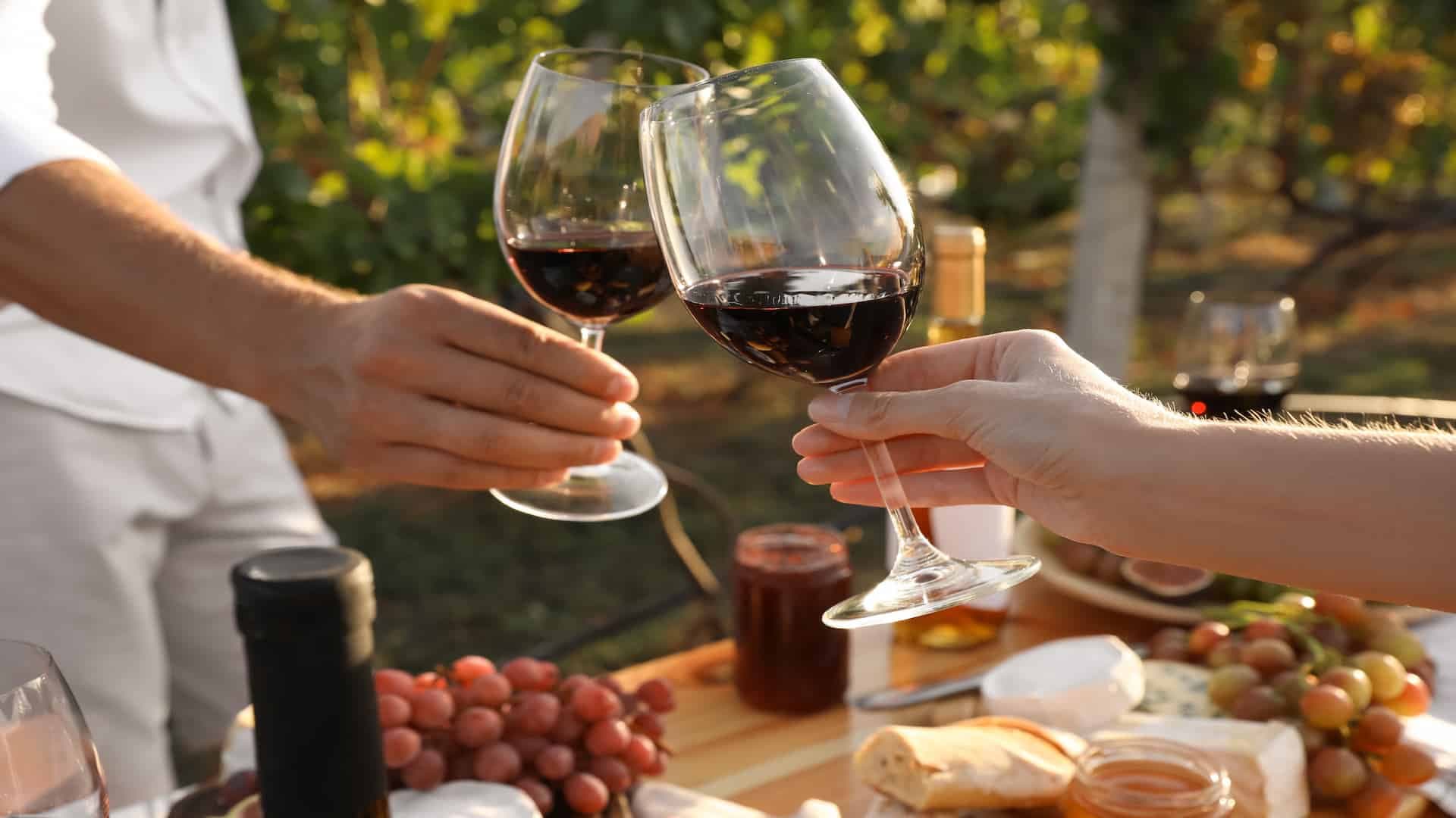 Couple with glasses of wine in vineyard on sunny day, closeup