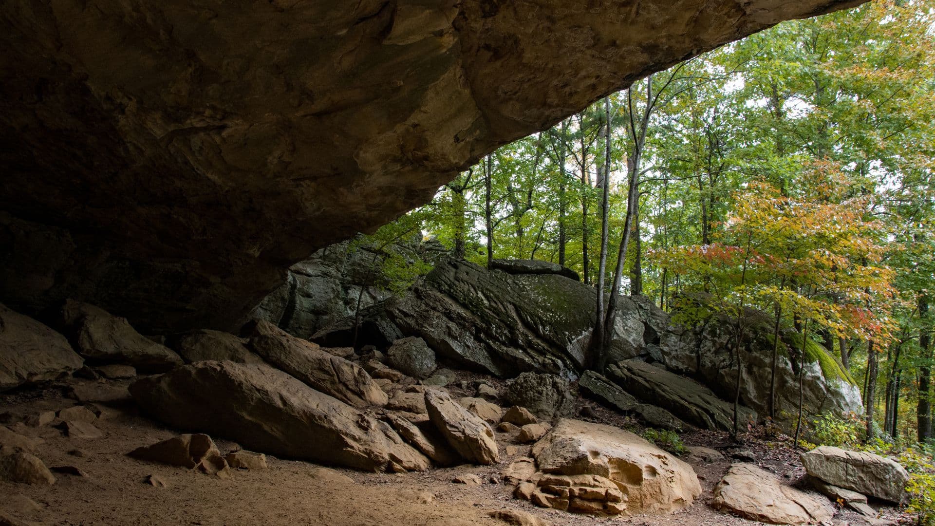 The entrance to a large cave near a forest