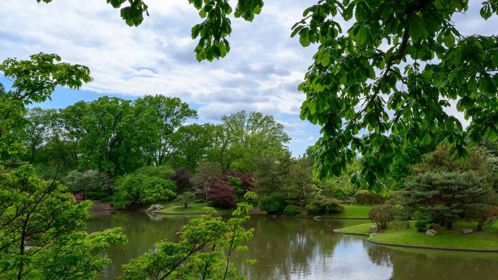 Small organically shaped lake surrounded by manicured and lush green lawn and deep green leafy trees.