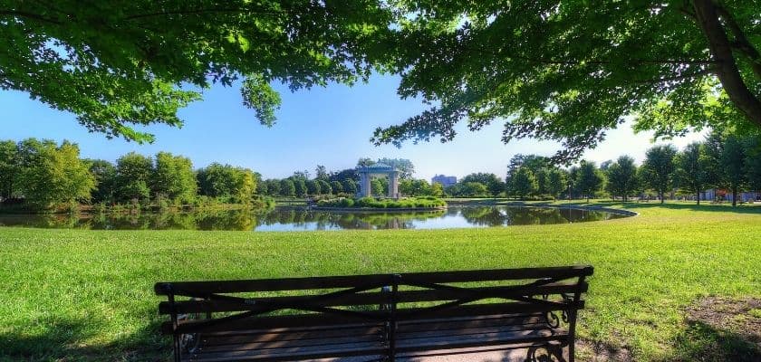 A peaceful park view with a bench overlooking a pond surrounded by trees.