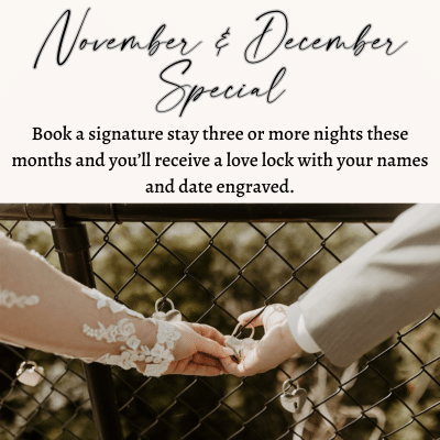 Two hands outstretched sharing a love lock that has their names and anniversary date engraved. Standing along a fence line of where they placed their lock.